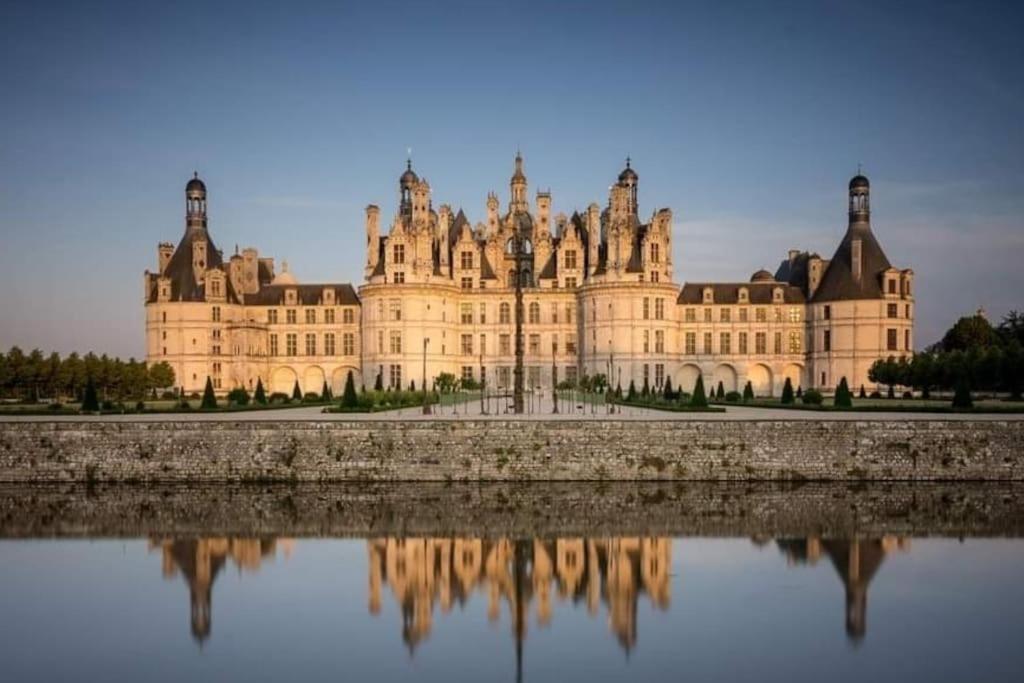 Gite Du Beauvoir Hyper Centre ブロワ エクステリア 写真